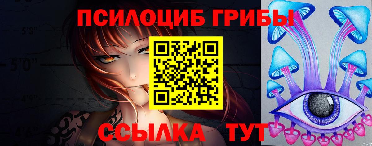 Галлюциногенные грибы мицелий  Псилоцибиновые грибы мицелий  Петропавловск-Камчатский  Вход с VPN 